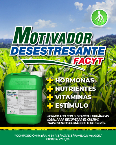 Promo Despegue